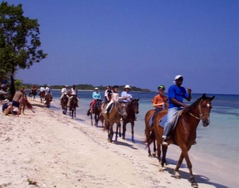 Horseriding a Braco